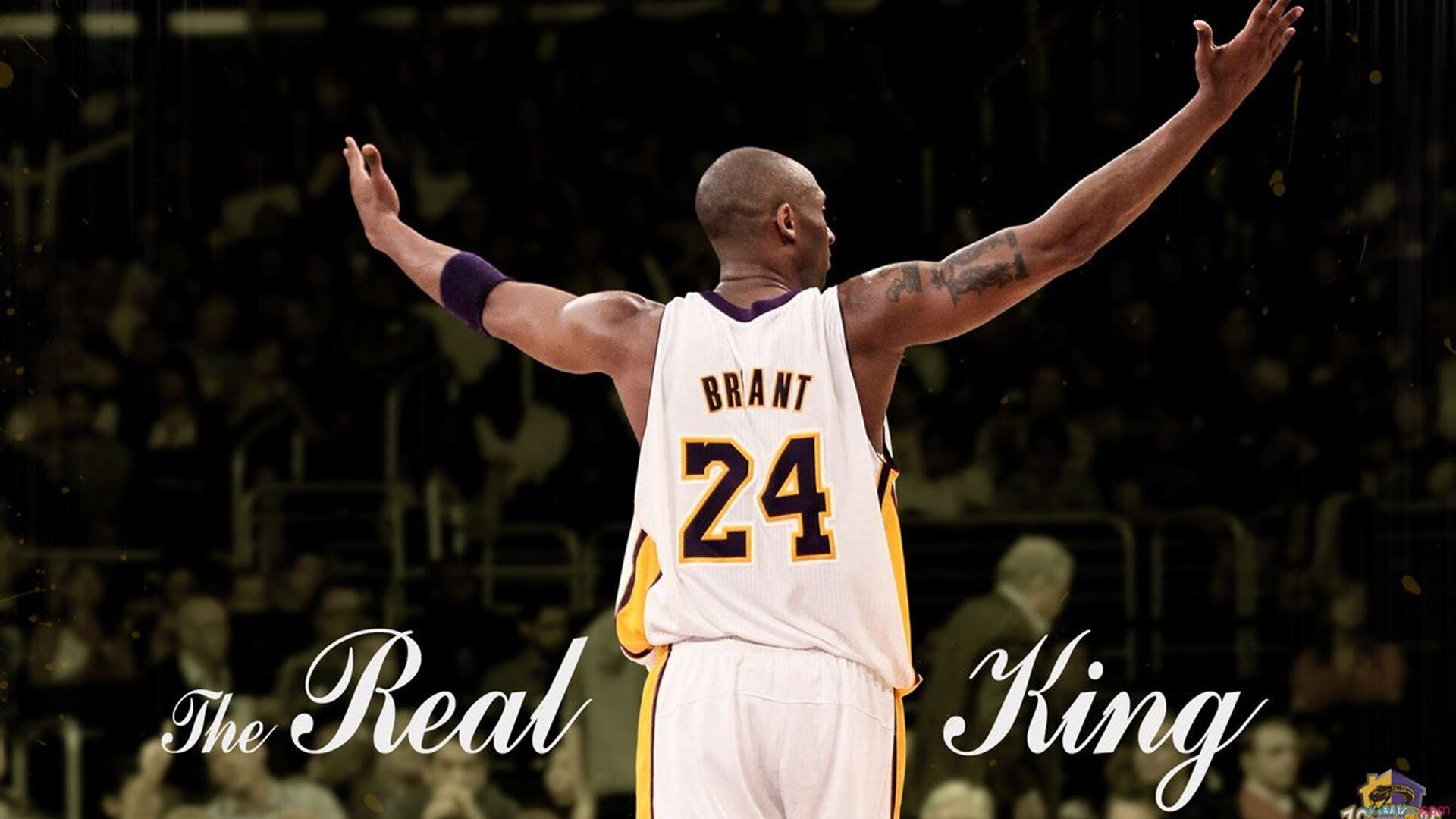 _全球运动鞋展：科技引领运动鞋新革命_，运动品牌科技